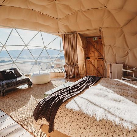Valley Views Glamping Kurow Екстериор снимка